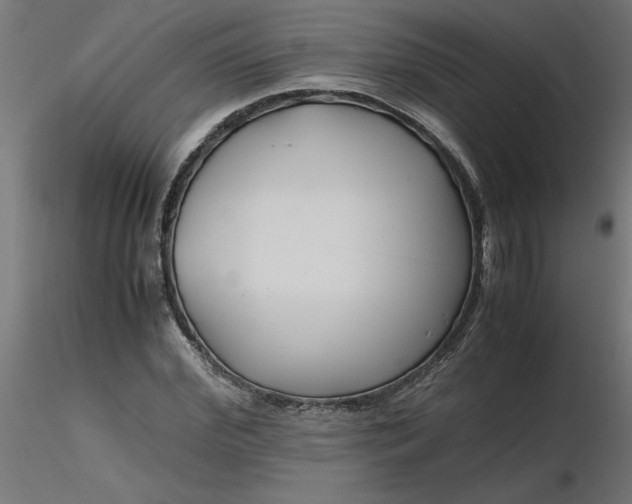 X0000116660972200912291634