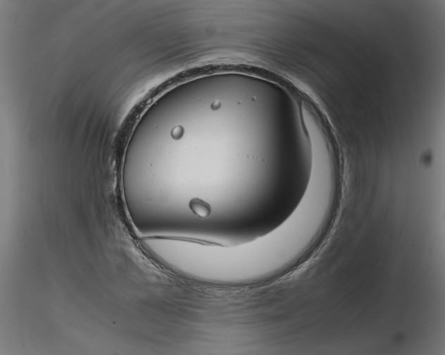 X0000116660973200912291634