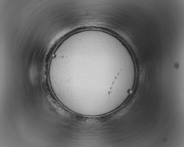 X0000116660974200912291634