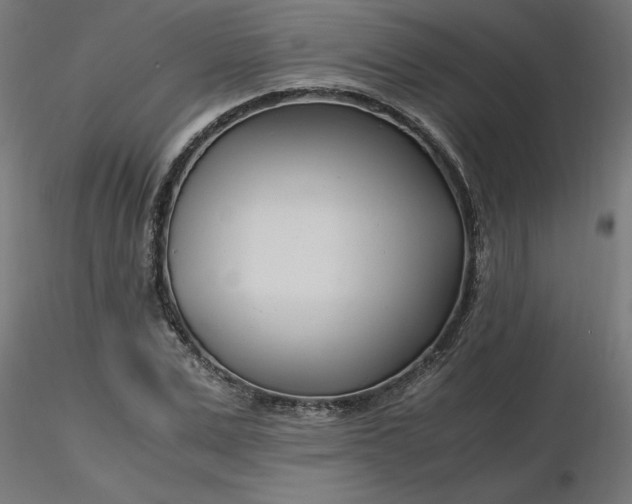 X0000116660975200912291634