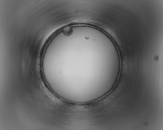 X0000116660976200912291634