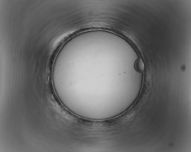 X0000116660979200912291634