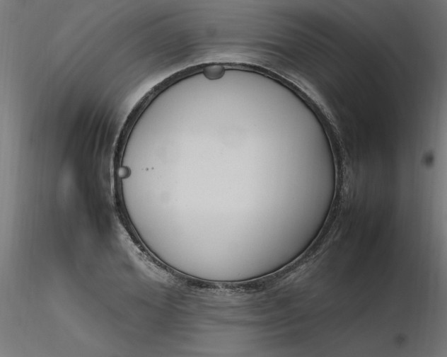 X0000116660980200912291634