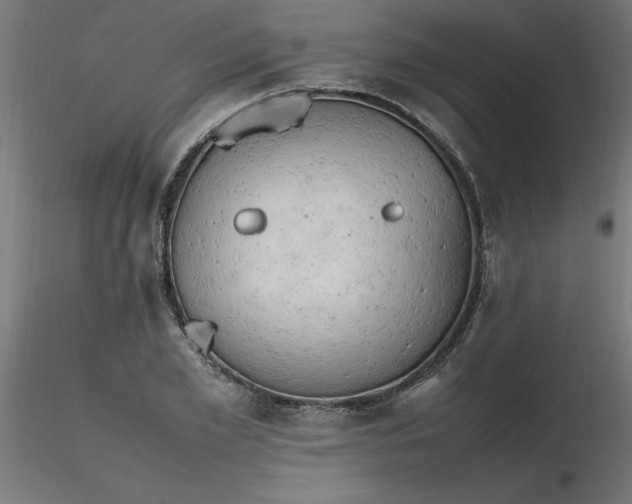 X0000116660981200912291634