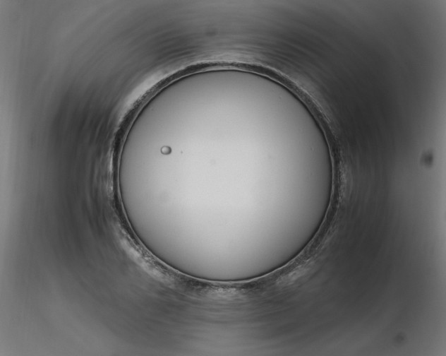 X0000116660982200912291634