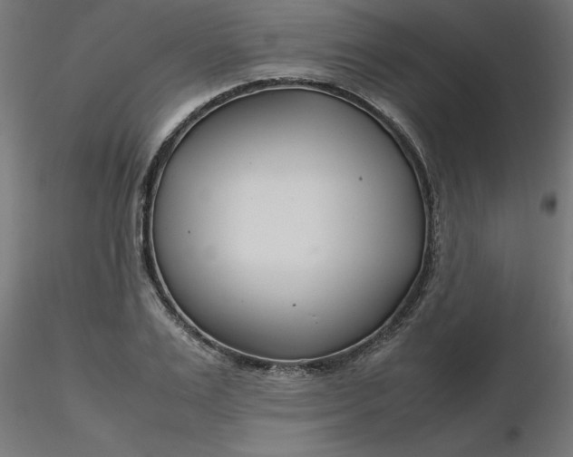 X0000116660983200912291634