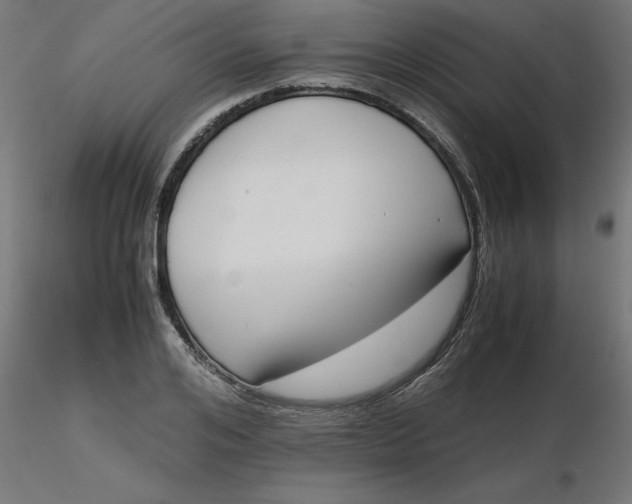 X0000116660984200912291634