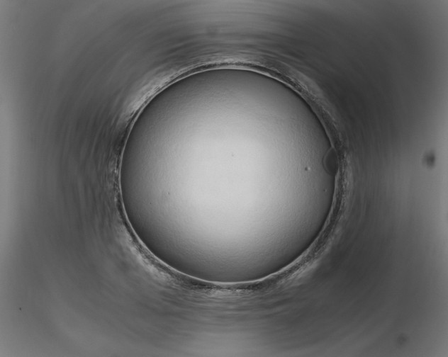 X0000116660985200912291634