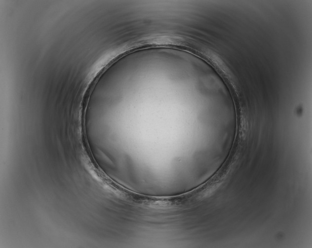 X0000116660986200912291634