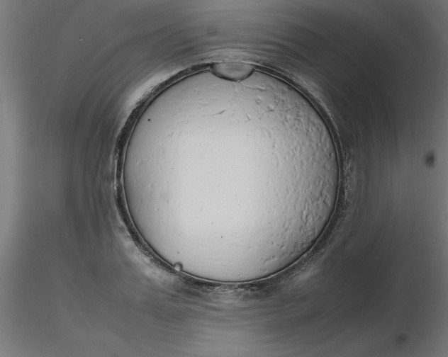 X0000116660987200912291634