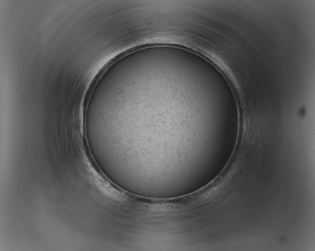 X0000116660988200912291634