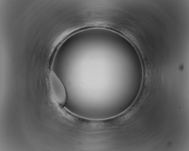 X0000116660989200912291634