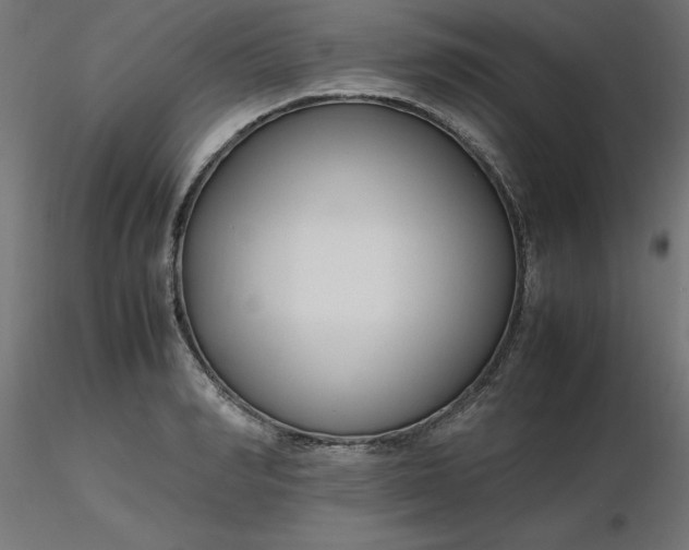 X0000116660990200912291634