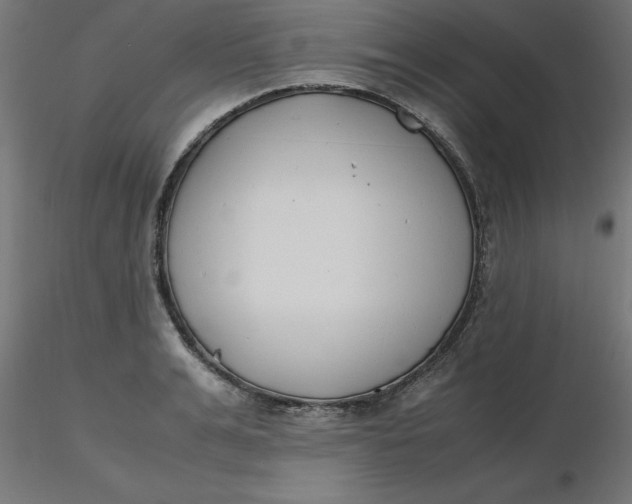 X0000116660991200912291634