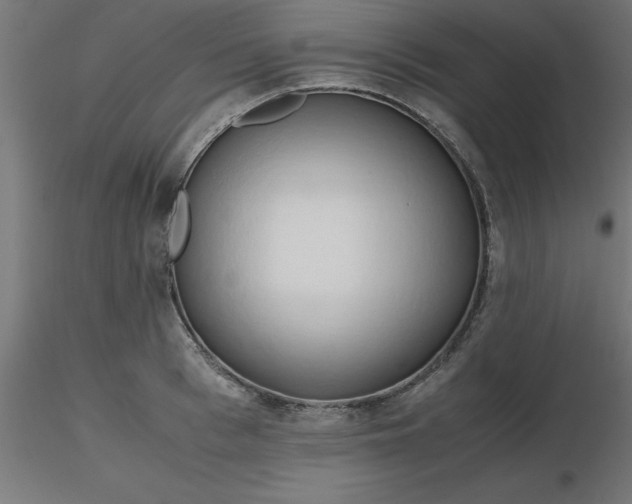 X0000116660993200912291633