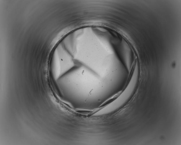 X0000116660994200912291633