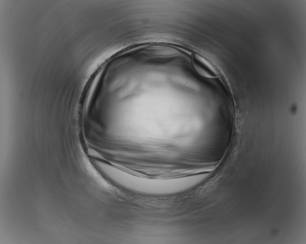 X0000116660995200912291633