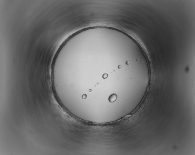 X0000116660996200912291633