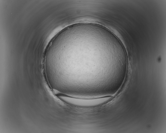 X0000116660997200912291633