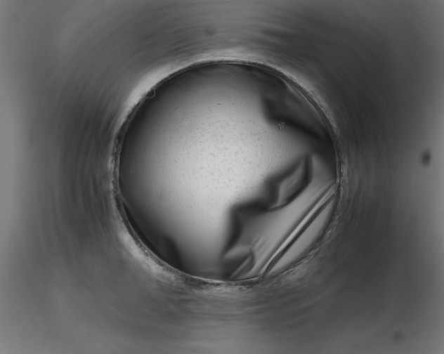 X0000116660998200912291633