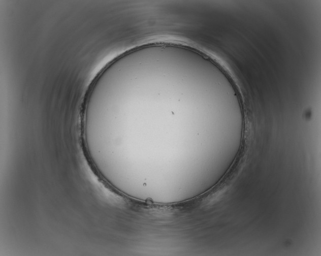 X0000116660999200912291633