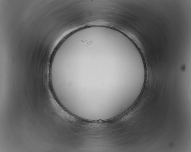 X0000116661000200912291633