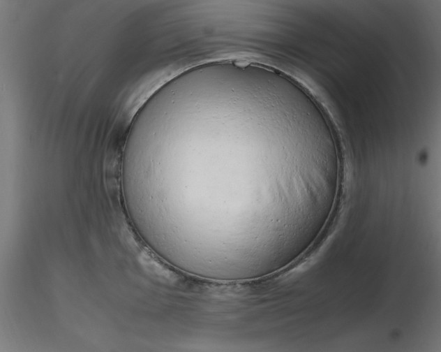 X0000116661001200912291633