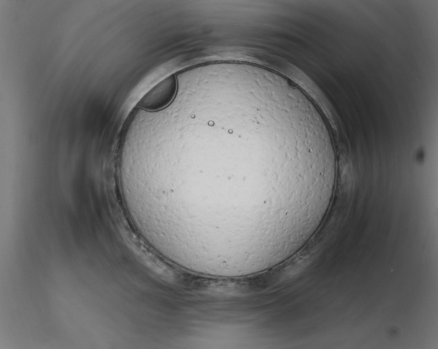 X0000116661002200912291633