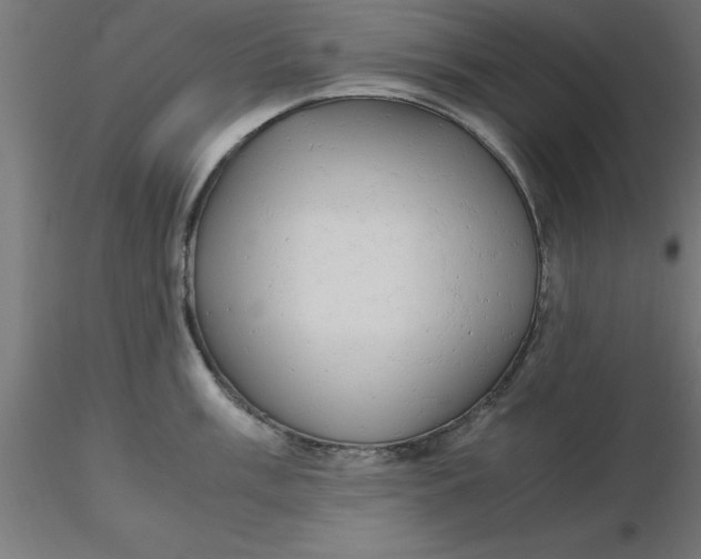 X0000116661003200912291633