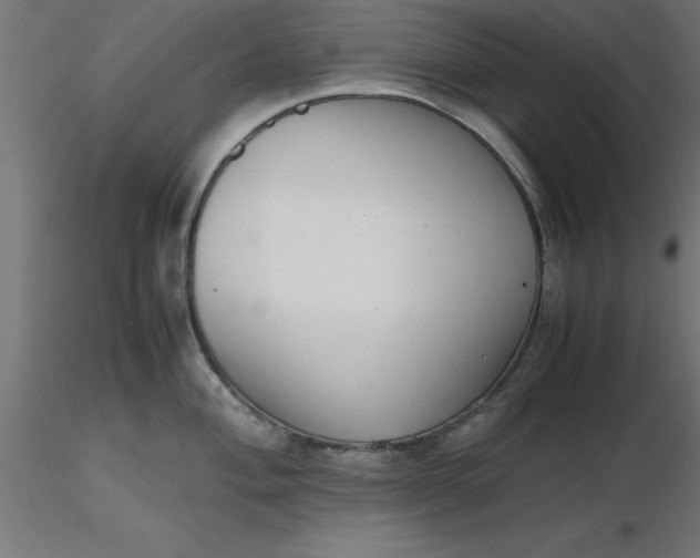 X0000116661004200912291633