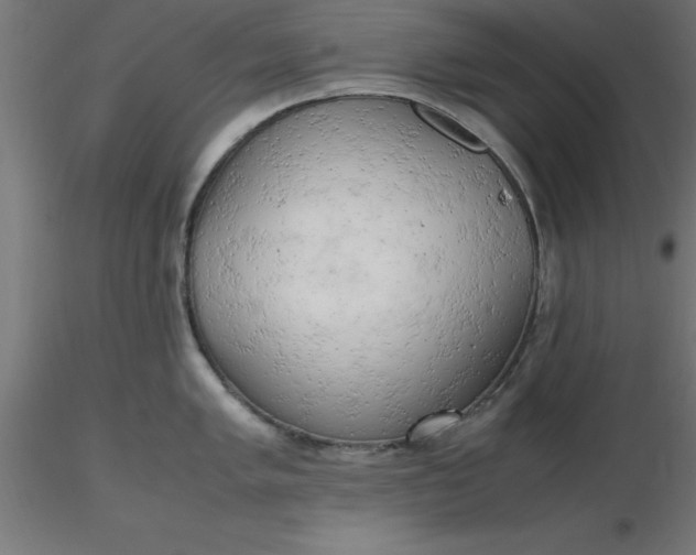 X0000116661005200912291633