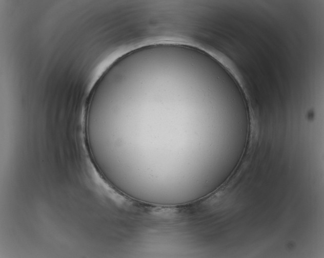 X0000116661006200912291633