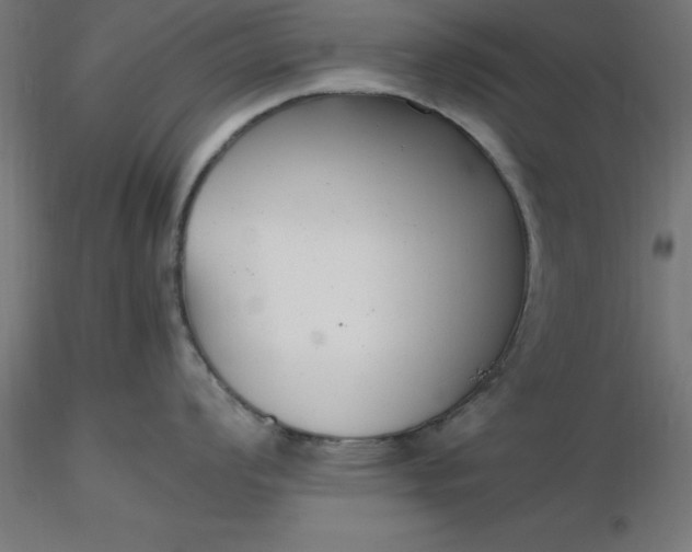 X0000116661008200912291633