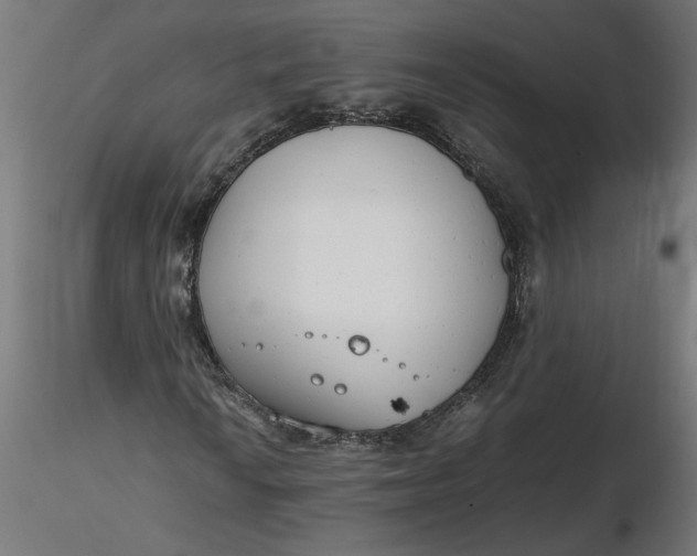 X0000116661010200912291633