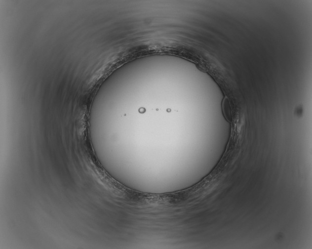 X0000116661012200912291633