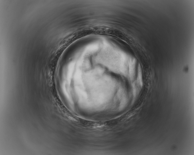 X0000116661013200912291633