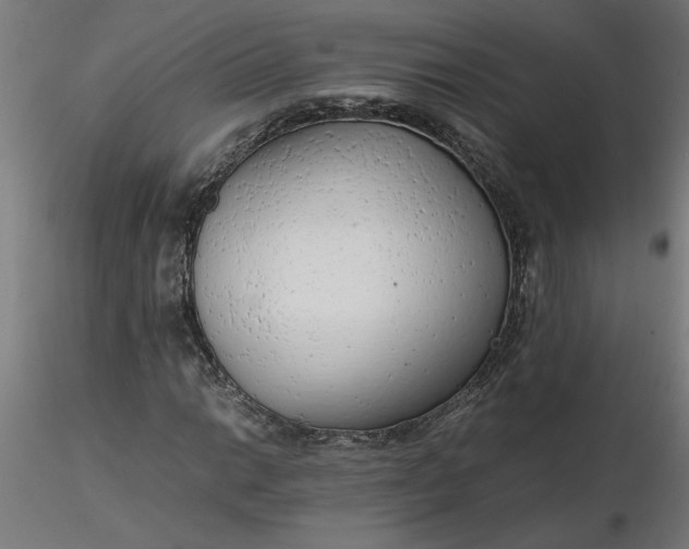 X0000116661014200912291633