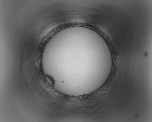 X0000116661015200912291633