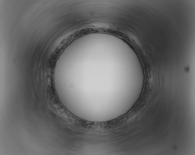 X0000116661016200912291633