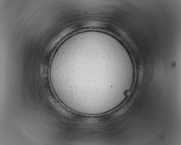 X0000116661017200912291633