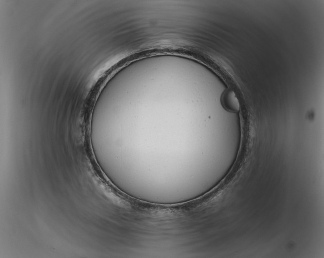 X0000116661018200912291633