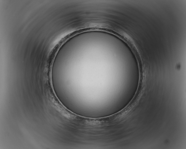 X0000116661019200912291633