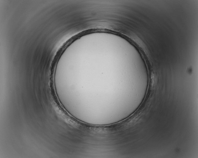 X0000116661020200912291633