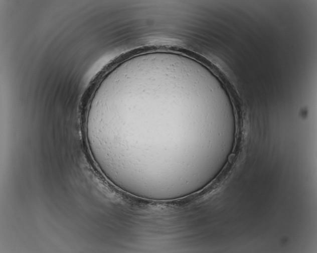 X0000116661022200912291633