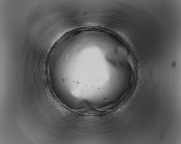 X0000116661023200912291633