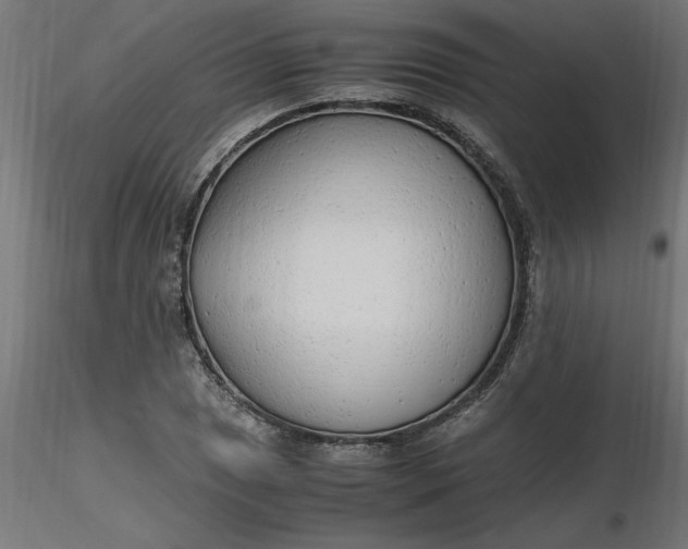 X0000116661025200912291633