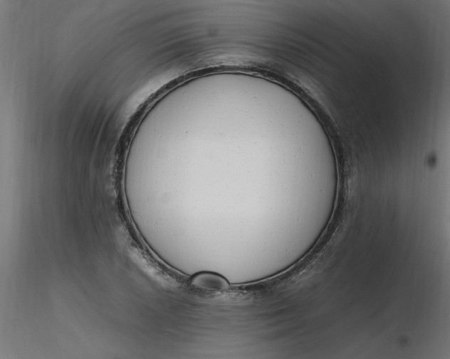 X0000116661026200912291633