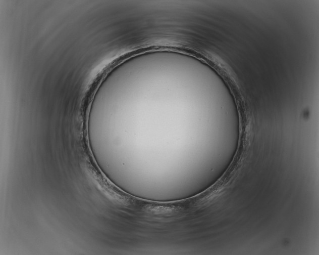 X0000116661027200912291633