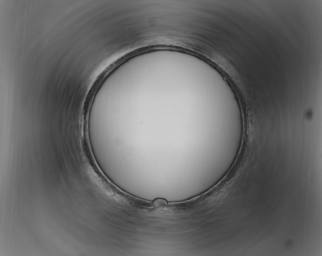 X0000116661028200912291633