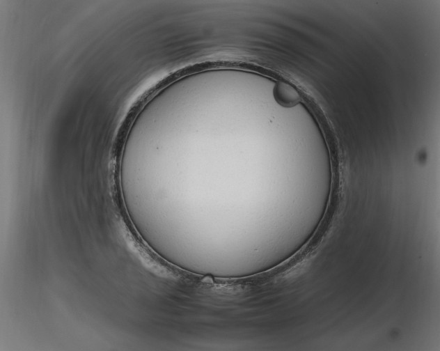 X0000116661029200912291633